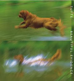 Cover of Beautiful Evidence